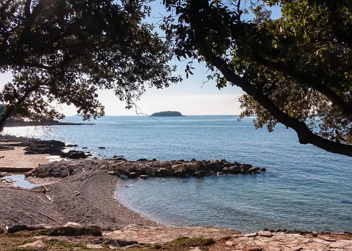 Apartamento In - Istrien 36665